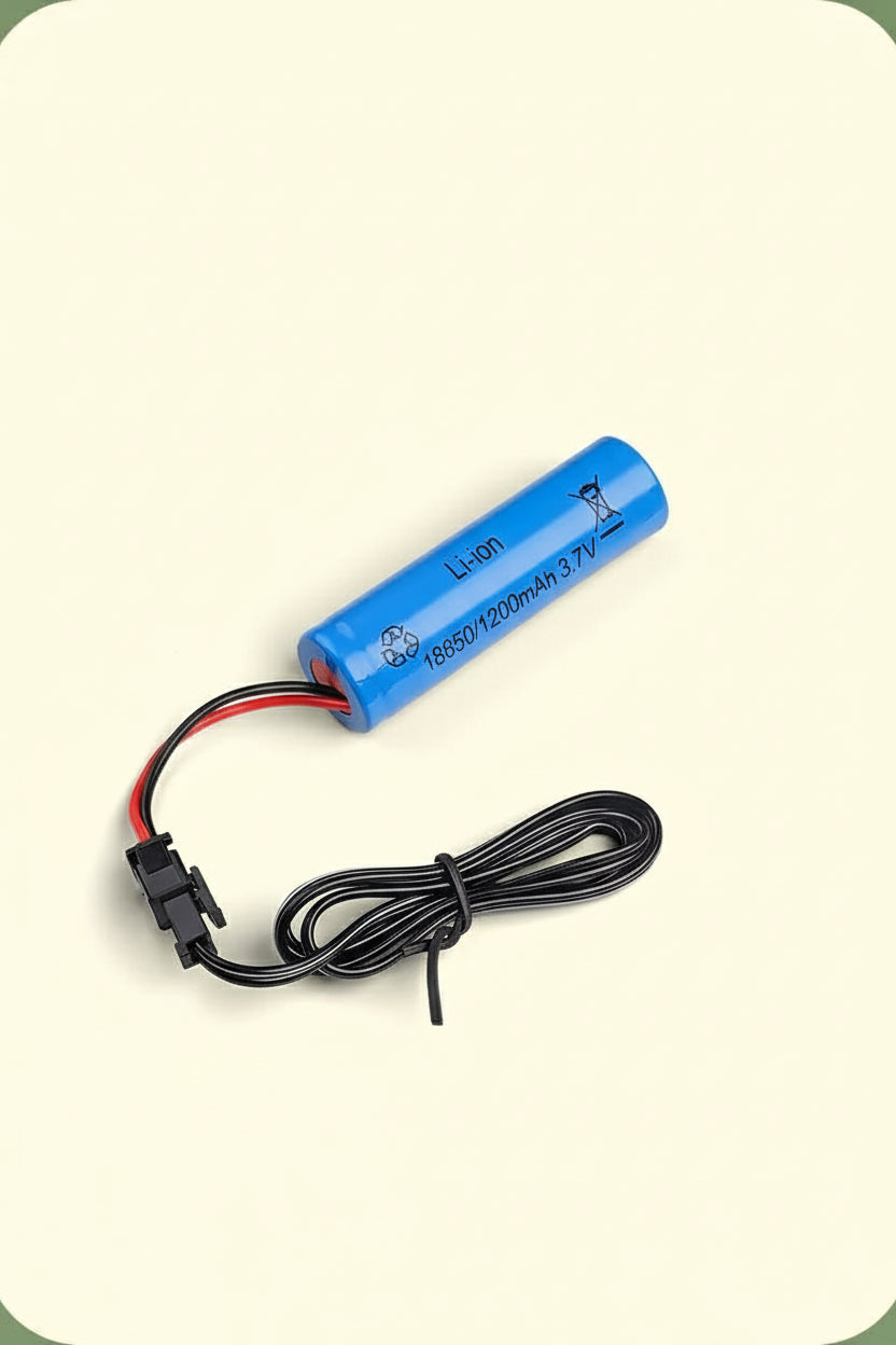 RC Extra Battery